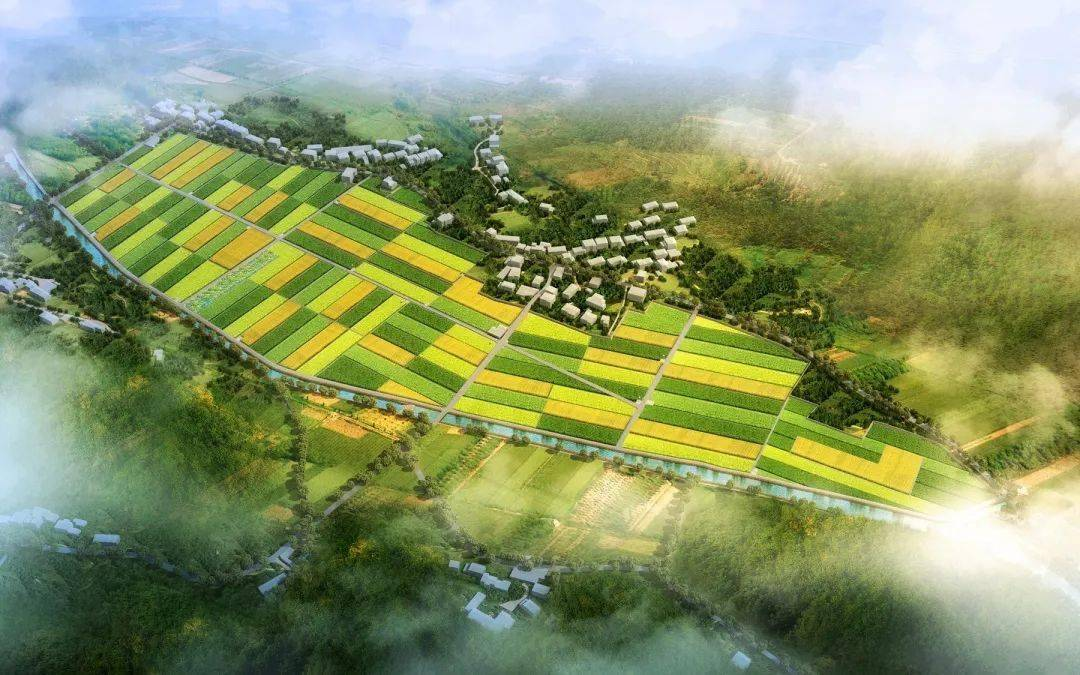 兰陵县高标准农田建设项目